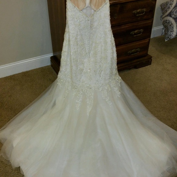 Maggie Sottero Midgely wedding gown - Picture 3 of 8